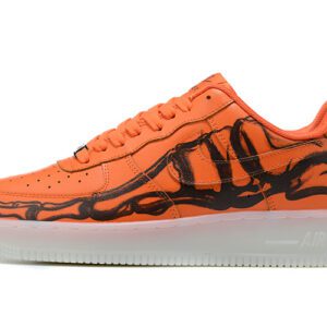 Air Force 1-31