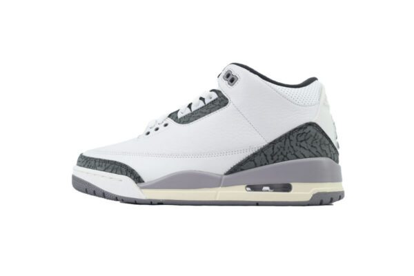 Air Jordan 3-02