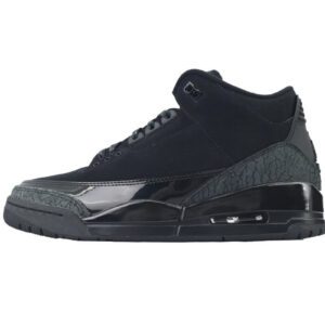 Air Jordan 3-05