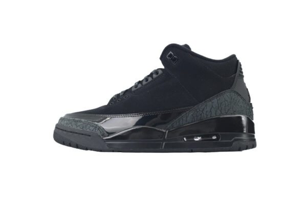 Air Jordan 3-05