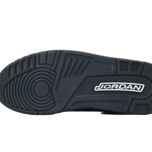 Air Jordan 3-05