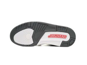 Air Jordan 3-08