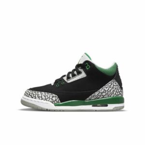 Air Jordan 3-09