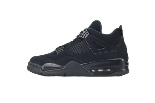 Air Jordan 4-04