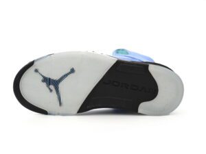 Air Jordan 5-01