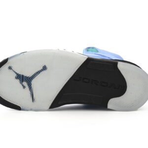Air Jordan 5-01