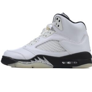 Air Jordan 5-09