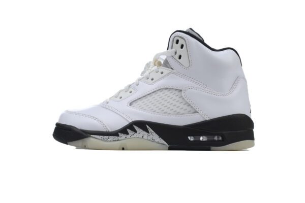 Air Jordan 5-09