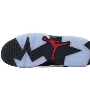 Air Jordan 6-06