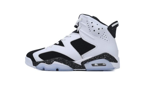 Air Jordan 6-07