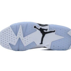 Air Jordan 6-07