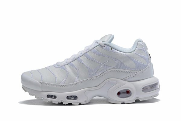 Air Max Plus Tn-03