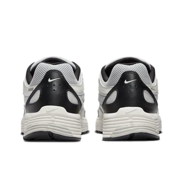 P-6000-10 - Imagen 2