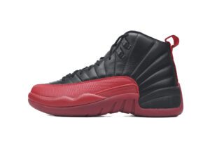 Air Jordan 12-01