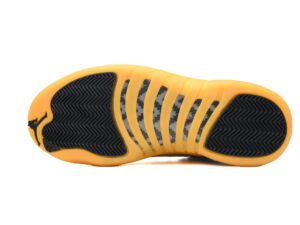 Air Jordan 12-03
