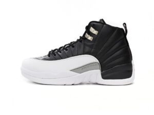 Air Jordan 12-05
