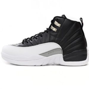 Air Jordan 12-05