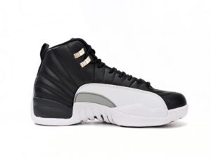 Air Jordan 12-05