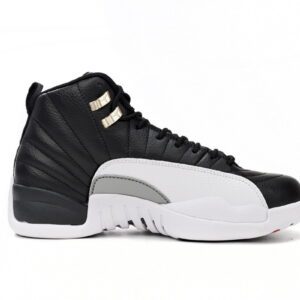 Air Jordan 12-05