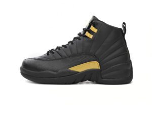 Air Jordan 12-06