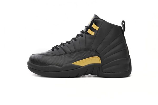 Air Jordan 12-06