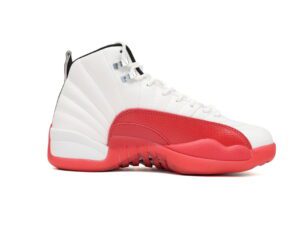 Air Jordan 12-07