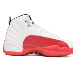 Air Jordan 12-07