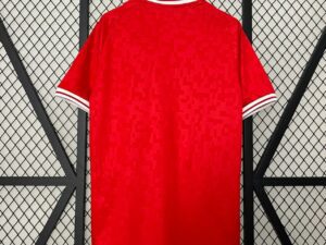 Dinamarca 1º Equipación Aficionado 24