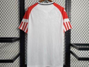 Dinamarca 2º Equipación Aficionado 24