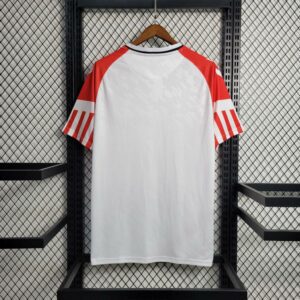 Dinamarca 2º Equipación Aficionado 24