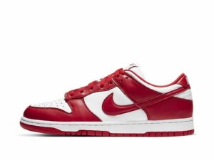 Dunk Low-20