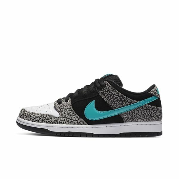 Dunk Low-29