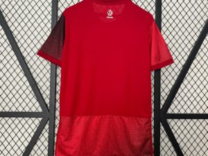 Polonia 2º Equipación Aficionado 24