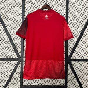 Polonia 2º Equipación Aficionado 24