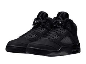 Air Jordan 5-16