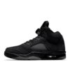 Air Jordan 5 'Black Cat'