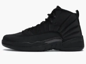 Air Jordan 12-12