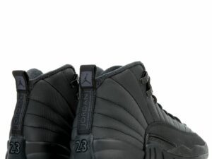 Air Jordan 12-12