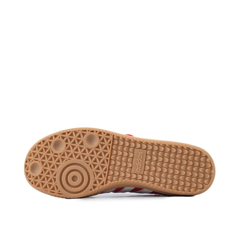 Samba Jane 'Scarlet Gum' - Imagen 3